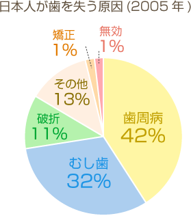 大泉学園駅・﻿にじいろマイクロスコープセラミック歯科医院・歯のお話し